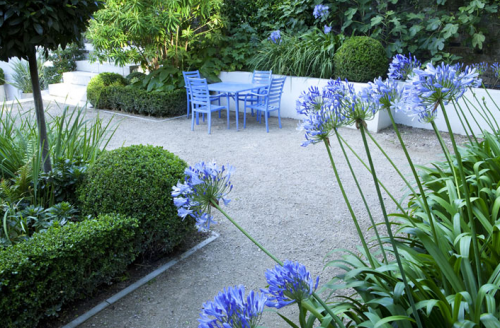 declan buckley garden blue chairs and blue agapanthus