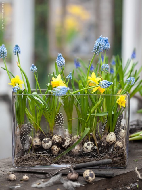DIY: Ikeas Ideas for an Earthy Easter —studio g garden design ...