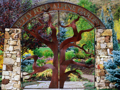 Garden Destination: The Betty Ford Alpine Gardens, Vail, Colorado ...